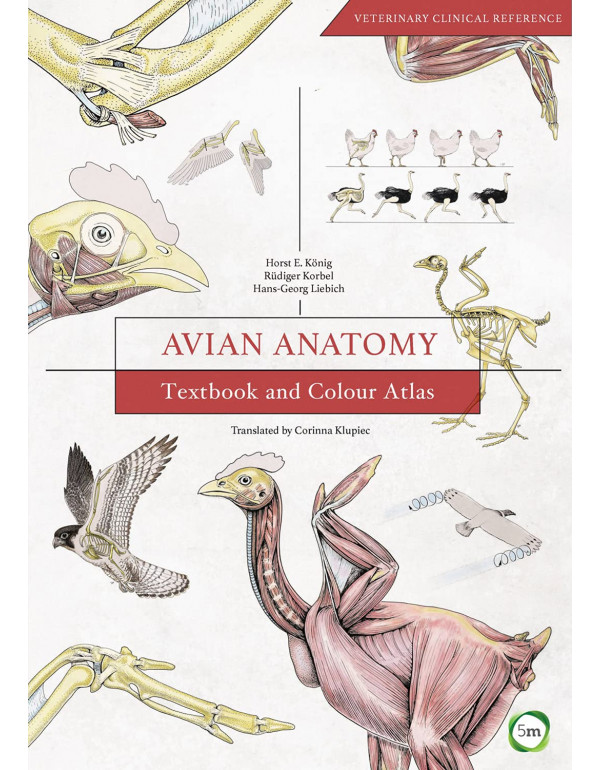 Avian Anatomy *US HARDCOVER* Textbook and Colour A...